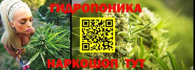 ешки Новозыбков